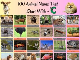 100 Animals That Start With C