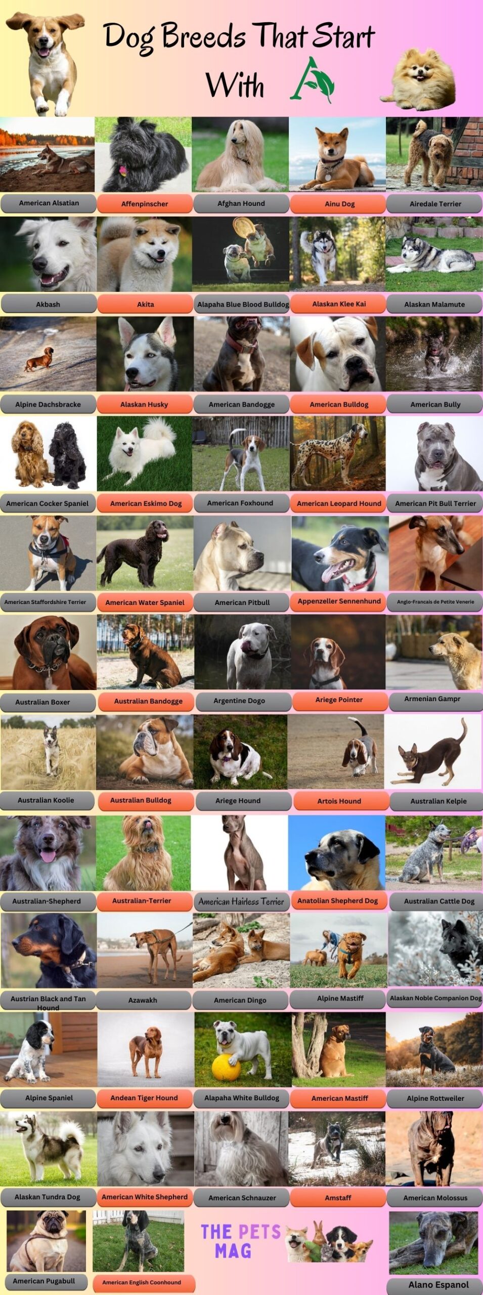 58 Dog Breeds That Start With A