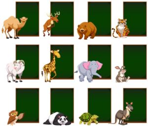 List of Animals (A to Z)