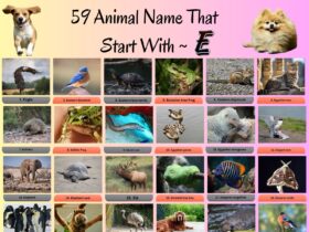 59 Animals That Start With E