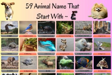 59 Animals That Start With E