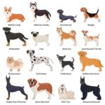 Dog Breeds