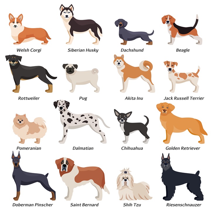 Dog Breeds