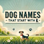 Dog Names That Start With K