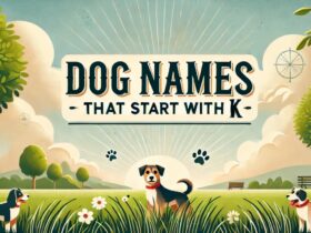 Dog Names That Start With K