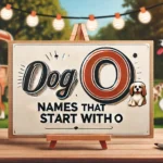 Dog Names That Start With O